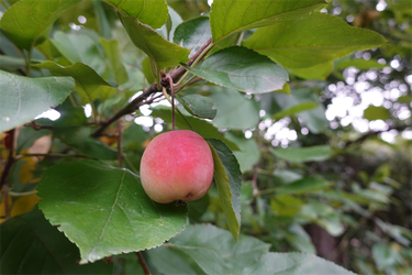 DSC09268_R