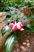 DSCF4298_R