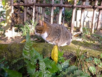 DSCF5412_R