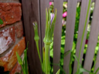 DSCF2839_R