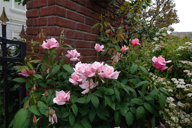 DSC06937_R