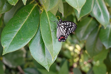 DSC08768_R