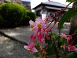 DSCF3804_R