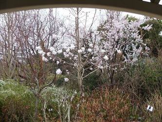 DSCF8669_R
