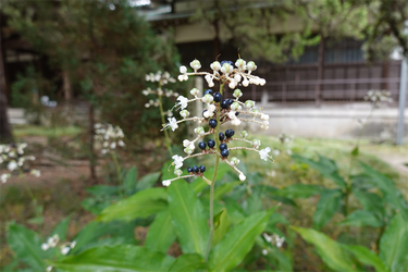 DSC09110_R
