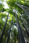 DSCF9873_R
