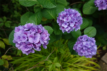 DSC08451_R