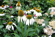 DSCF3592_R