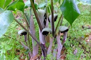 DSCF2229_R