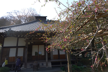 DSC06268 (1)_R