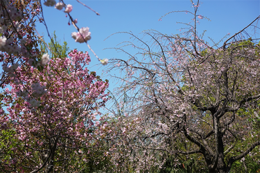 DSC06641_R