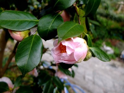DSCF1189_R