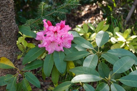 DSC04494_R