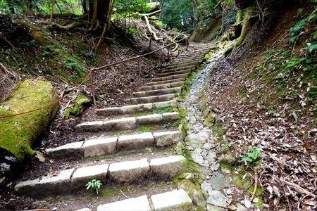 DSC02419_R
