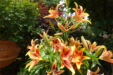 DSC08434_R