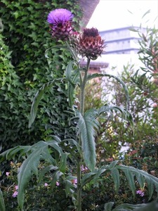 DSCF4704_R