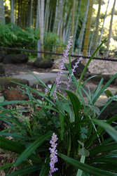 DSC07709_R