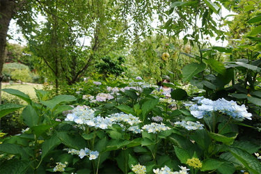 DSC08148_R