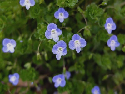 DSCF4613_R