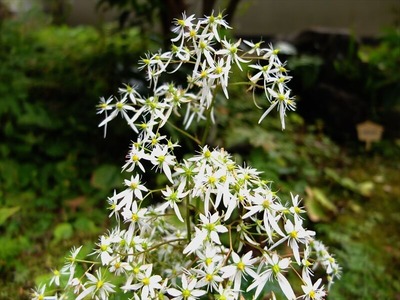 DSCF9016_R