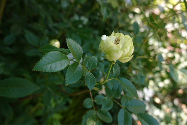 DSC07718_R