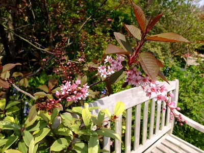 DSCF5733_R