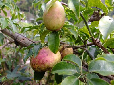 DSCF9041_R