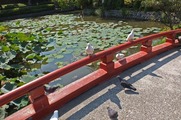 DSCF5488_R