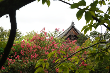 DSC09670_R