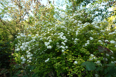 DSC06743_R