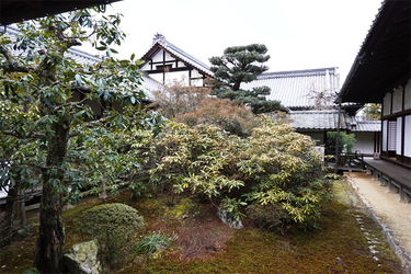 DSC09796_R