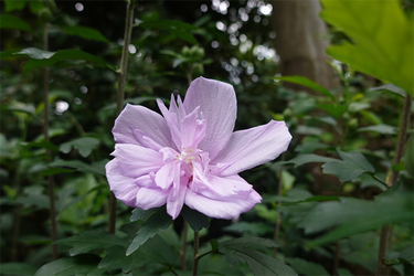 DSC08847_R