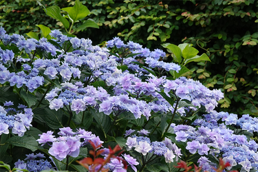DSC08283_R