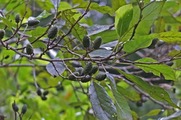 DSCF5328_R