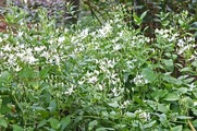 DSCF5813_R