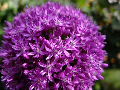 DSCF3625_R