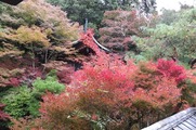 DSCF7694_R
