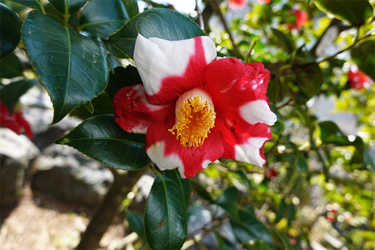 DSC04824_R
