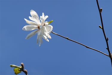 DSC06389_R