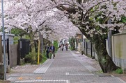 DSCF2307_R