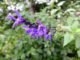 DSCF2753_R