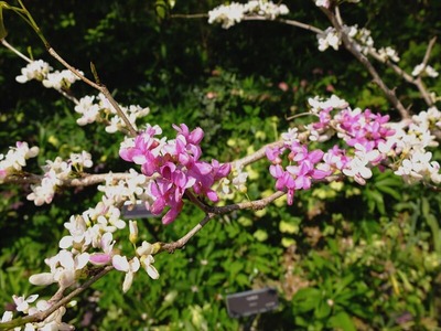 DSCF5492_R