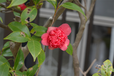 DSC05793_R