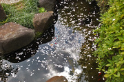 DSCF0894_R
