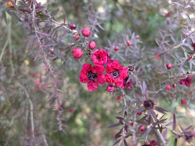 DSCF0820_R