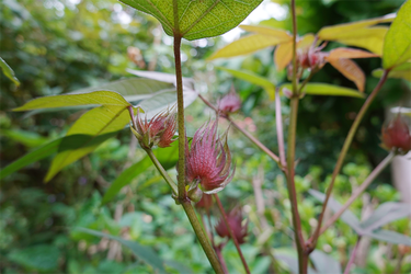 DSC08924_R