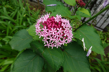 DSC08704_R
