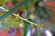 DSCF0673
