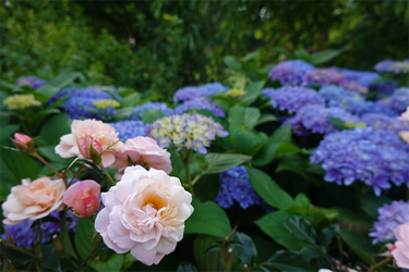 DSC01561_R