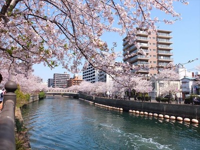 DSCF8256_R